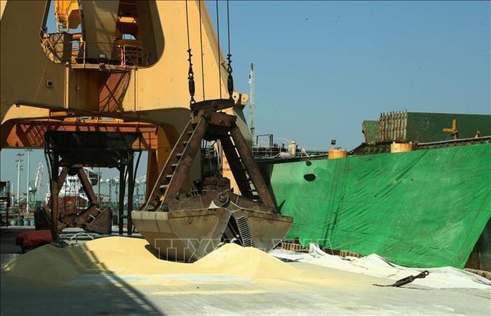 Sản phẩm nhân bón DAP Đình Vũ (Hải Phòng) lên tàu xuất khẩu đến các quốc gia, vùng lãnh thổ trên thế giới. Ảnh: Quốc Khánh - TTXVN