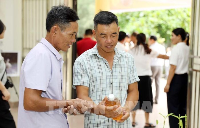 Các đại biểu xem xét mật ong sú vẹt, sản phẩm đã được công nhận đạt chuẩn OCOP 3 sao của tỉnh Ninh Bình. Ảnh: Thái Thuần – TTXVN