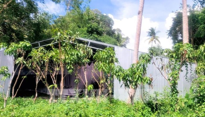 Một số trường hợp sau khi bị chính quyền địa phương yêu cầu tháo dỡ đã chuyển sang che bạt và trồng dày đặc các loại cây ăn trái, cây kiểng với hy vọng được tính vào phương án bồi thường sau này. Ảnh: Công Mạo - TTXVN