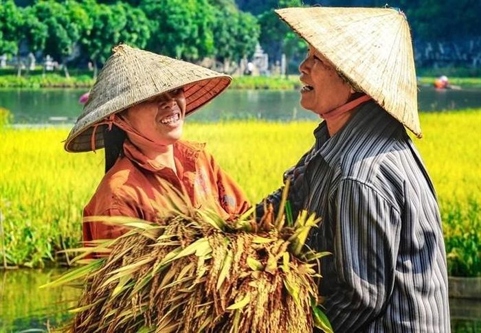 Nụ cười hồn hậu của người nông dân Ninh Bình. Ảnh: báo Dân Việt