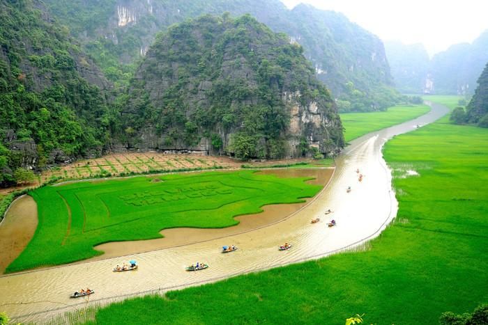 Cánh đồng lúa non ở Ninh Bình. Ảnh: Xuân Lâm/Cục Du lịch Quốc gia Việt Nam