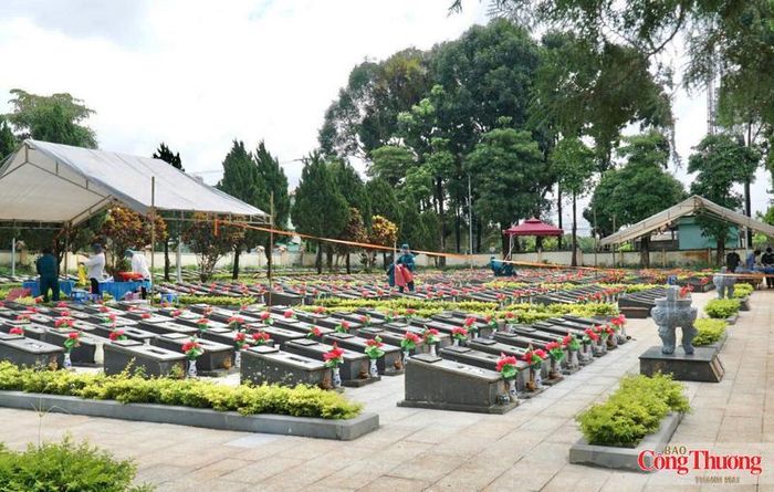 Đến ngày 17/7, việc khai quật phục vụ lấy mẫu đã được thực hiện tại 19 nghĩa trang liệt sĩ.