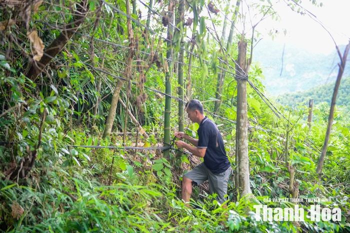 Sau nhiều năm sử dụng, một số vị trí đã chùng võng, vắt qua bụi cây, có nơi chỉ cách mặt đất một khoảng ngắn.