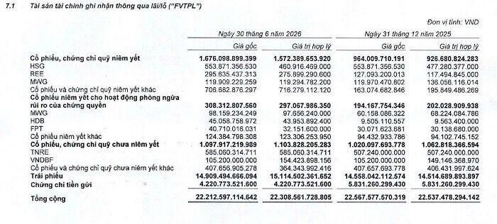 Nguồn: BCTC VNDirect