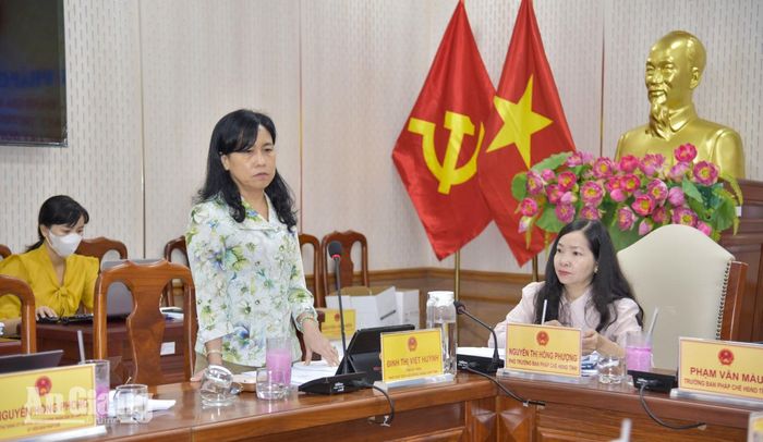 Phó Chủ tịch HĐND tỉnh An Giang Đinh Thị Việt Huỳnh phát biểu tại cuộc họp.
