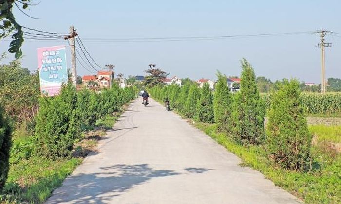 Cảnh quan nông thôn tại xã Ngọc Thiện.