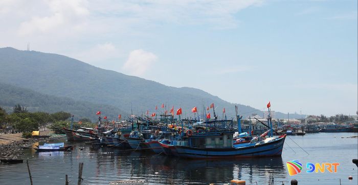 Tàu thuyền neo đậu tại Âu thuyền Cảng cá Thọ Quang (Đà Nẵng). Ảnh: ĐẮC MẠNH