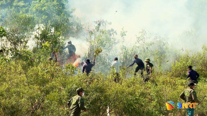 Các đơn vị trên địa bàn Đà Nẵng diễn tập chữa cháy rừng, sẵn sàng ứng phó các đợt nắng nóng diện rộng. Ảnh: ANH QUÂN