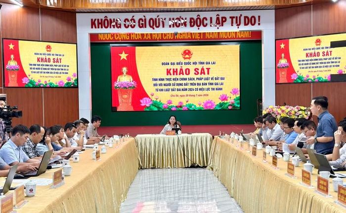 Quang cảnh buổi khảo sát. Ảnh: Hà Duy