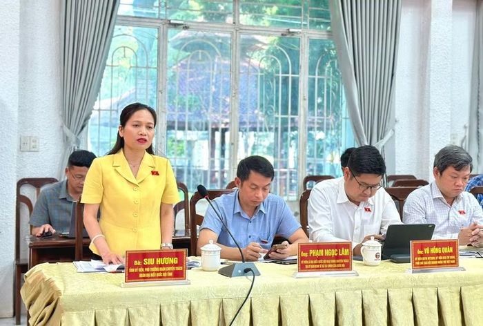 Phó Trưởng đoàn chuyên trách Đoàn ĐBQH tỉnh Siu Hương phát biểu tại buổi khảo sát. Ảnh: Hà Duy