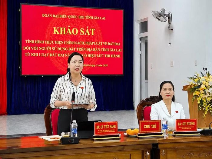 Bà Lý Tiết Hạnh - Tỉnh ủy viên, Phó Trưởng đoàn chuyên trách Đoàn ĐBQH tỉnh phát biểu tại buổi làm việc với phường Hội Phú. Ảnh: Hà Duy