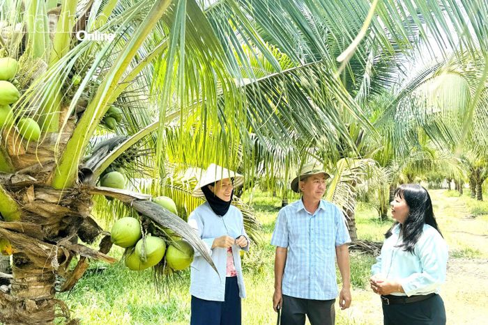 Ông Trần Nguyên Văn trao đổi với cán bộ Hội Nông dân xã tại vườn dừa của gia đình.