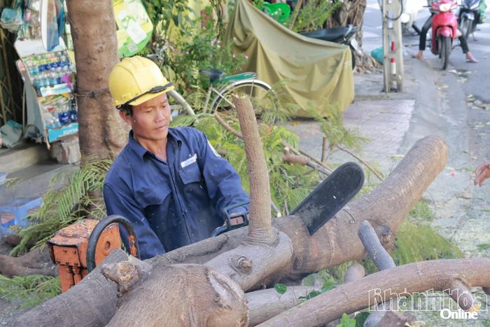 Xử lý cành cây cắt tỉa.