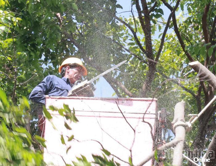 Công nhân cắt tỉa cây xanh.