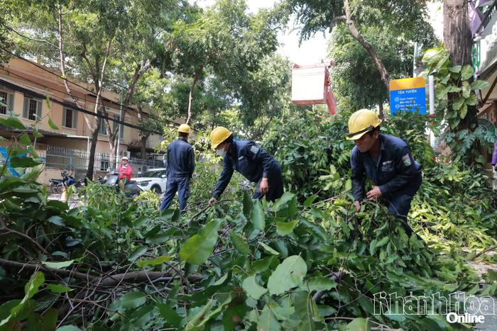 Công nhân cưa, dọn dẹp cành cây sau khi cắt tỉa.