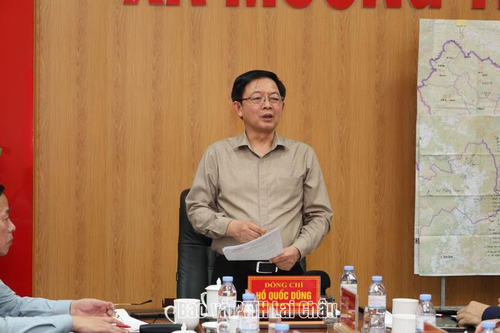 Phó Thủ tướng Chính phủ Hồ Quốc Dũng phát biểu tại buổi làm việc.