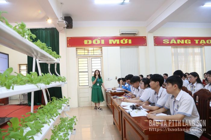 Tiết dạy đổi mới, sáng tạo sử dụng mô hình trực quan "trồng rau thủy canh" của giáo viên bộ môn Sinh học, Trường THPT chuyên Chu Văn An