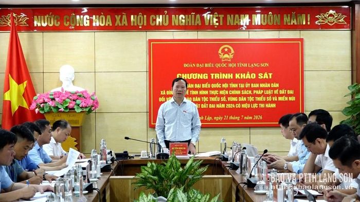 Đồng chí Phó Trưởng Đoàn chuyên trách Đoàn ĐBQH tỉnh phát biểu tại buổi khảo sát tại xã Đình Lập