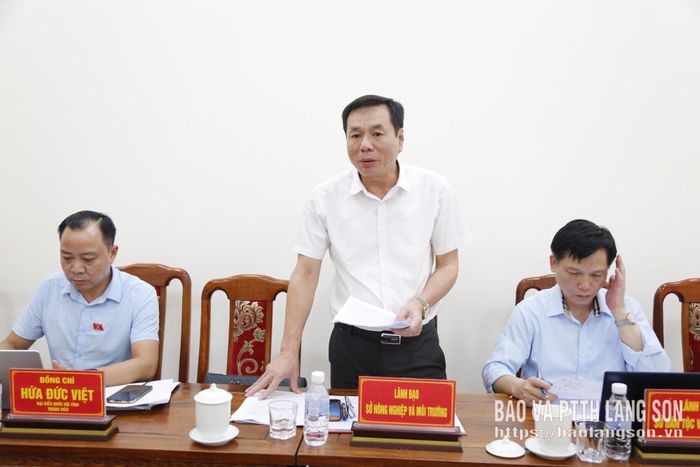 Lãnh đạo Sở Nông nghiệp và Môi trường phát biểu tại buổi làm việc