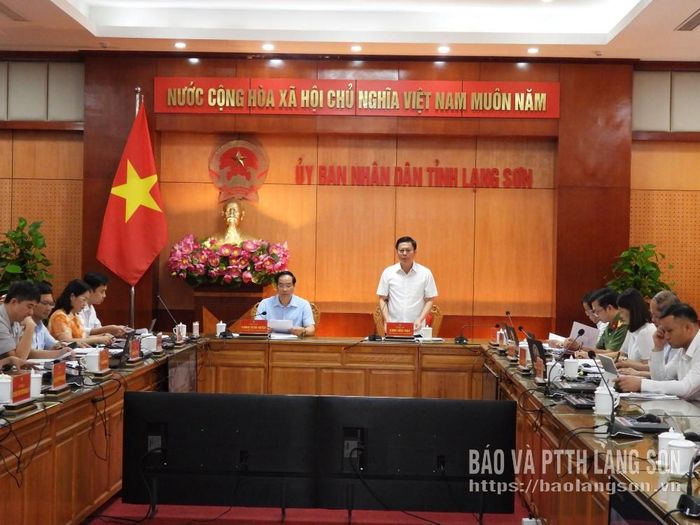 Đồng chí Phó Chủ tịch Thường trực UBND tỉnh phát biểu kết luận cuộc họp làm việc với nhà đầu tư