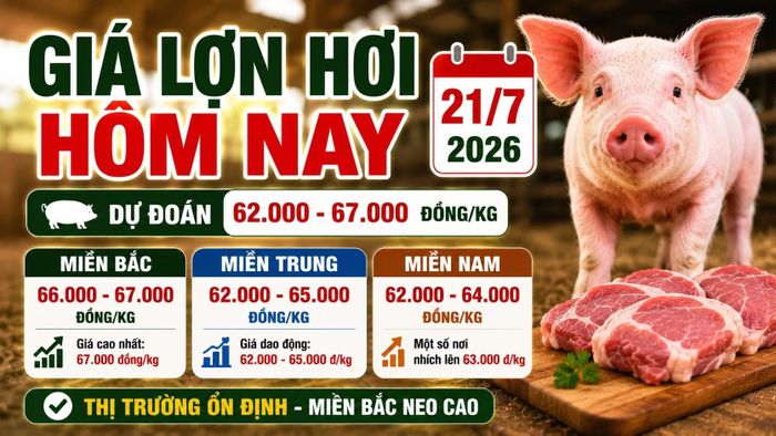 Hình minh họa.