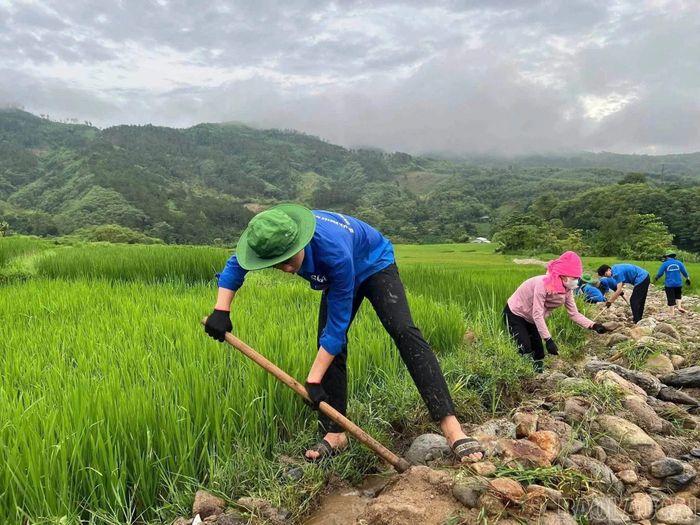 Đoàn viên, thanh niên và sinh viên tình nguyện tham gia nạo vét kênh mương nội đồng, khơi thông cống rãnh.