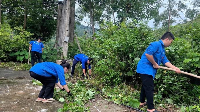 Đoàn viên, thanh niên và sinh viên tình nguyện tham gia phát quang bụi rậm, vệ sinh môi trường.