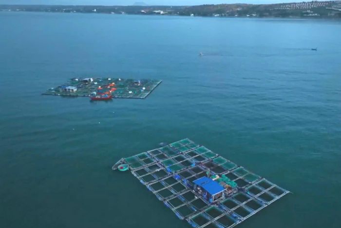 Lâm Đồng có dung tích mặt nước hồ lớn là điều kiện thuận lợi để địa phương mở rộng dư địa phát triển các dự án điện mặt trời nổi