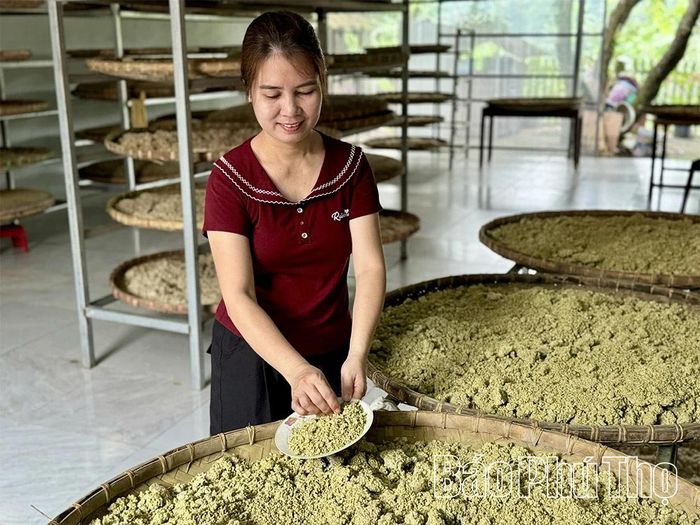 Chị Trần Thị Phượng - Giám đốc HTX Tương Làng Bợ thực hiện quy trình làm tương công phu.