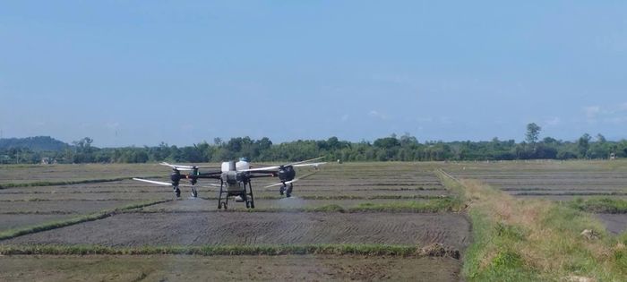 Hợp tác xã nông nghiệp Thượng Hóa đầu tư thiết bị bay không người lái để tự chủ phun thuốc phòng trừ dịch bệnh - Ảnh: T.T