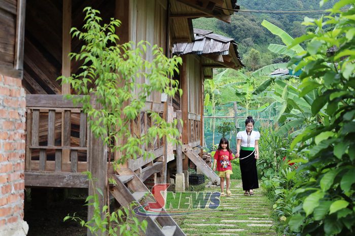Không gian xanh tại homestay mang đến trải nghiệm gần gũi cho du khách.