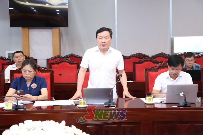 Lãnh đạo Ban Quản lý các khu công nghiệp tỉnh phát biểu tại cuộc làm việc.