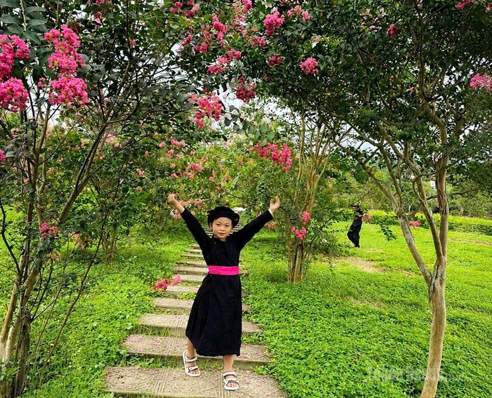 Em nhỏ háo hức vui chơi, lưu giữ những khoảnh khắc đáng nhớ giữa mùa hoa tường vi khoe sắc.