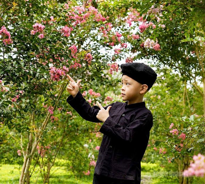 Em nhỏ háo hức vui chơi, lưu giữ những khoảnh khắc đáng nhớ giữa mùa hoa tường vi khoe sắc.