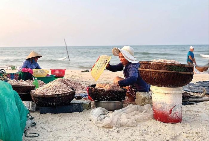 Bội thu “lộc biển”. Ảnh: Tấn Phát