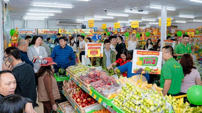 Chuỗi bán lẻ thực phẩm Bách Hóa Xanh đã mở mới 632 điểm bán trong nửa đầu năm nay.