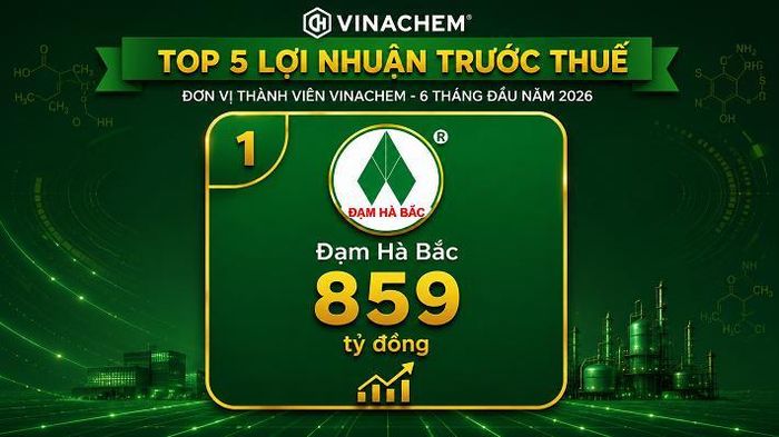 Đạm Hà Bắc dẫn đầu Top 5 đơn vị thành viên Vinachem về lợi nhuận trước thuế 6 tháng đầu năm 2026, đạt 859 tỷ đồng