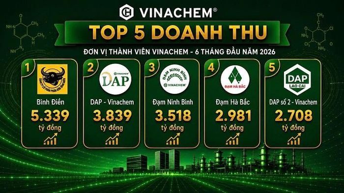 5 đơn vị có doanh thu cao nhất toàn Tập đoàn trong 6 tháng đầu năm 2026