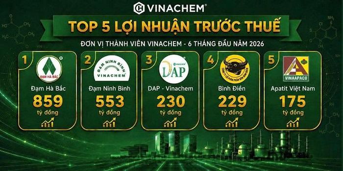 5 đơn vị có lợi nhuận cao nhất toàn Tập đoàn trong 6 tháng đầu năm 2026