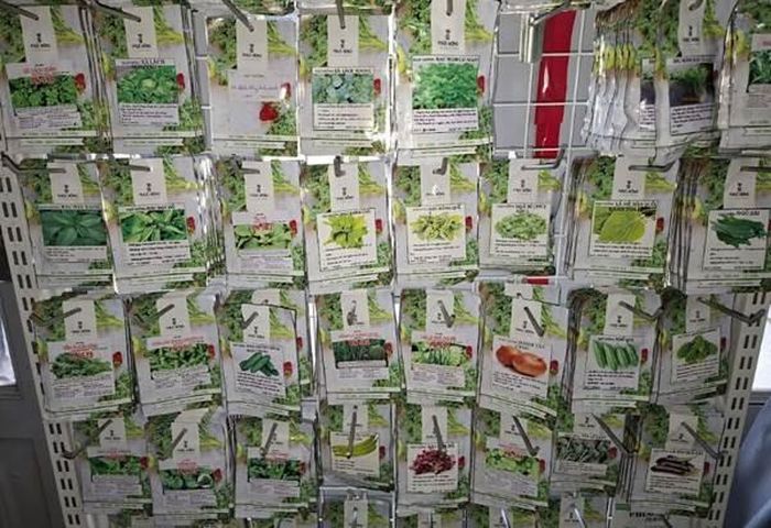 Phúc An Nông là nhà phân phối hạt giống cây trồng uy tín, tư vấn kỹ thuật và đồng hành cùng người trồng trên cả nước.