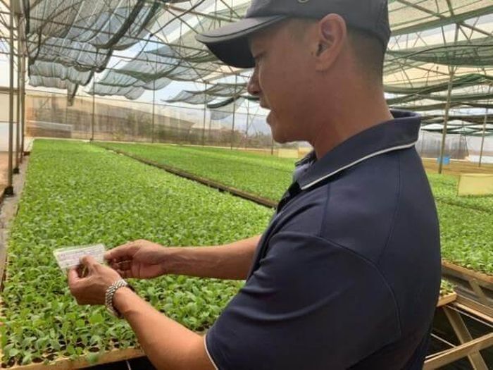 Người trồng ngày càng quan tâm đến việc lựa chọn hạt giống chất lượng nhằm nâng cao hiệu quả sản xuất