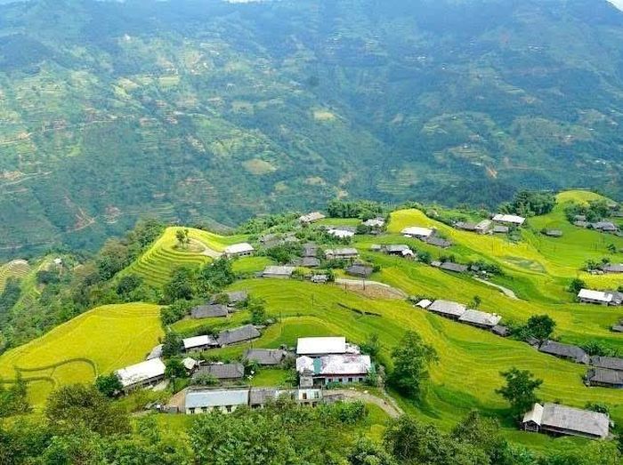 Những nếp nhà của đồng bào vùng cao nép mình giữa những thửa ruộng bậc thang xanh mướt, tạo nên bức tranh hài hòa giữa con người và thiên nhiên – vẻ đẹp đặc trưng trong không gian văn hóa, sinh kế của miền núi Lào Cai. Ảnh: Việt Hương