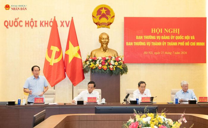 Phó Thủ tướng Lê Tiến Châu phát biểu