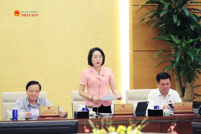 Phó Chủ tịch Quốc hội Nguyễn Thị Thanh điều hành phiên họp. Ảnh: Hồ Long