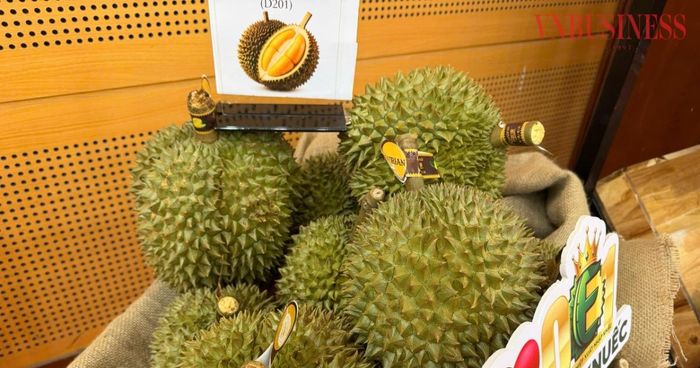 Nhu cầu nhập khẩu sầu riêng tăng trở lại, tạo động lực cho giá thu mua trong nước phục hồi.