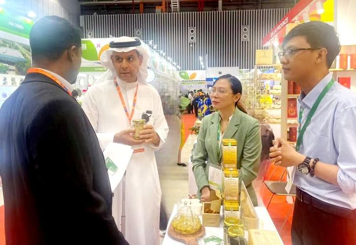 Thông qua các chương trình xúc tiến thương mại, doanh nghiệp Gia Lai đã có cơ hội tiếp cận khách hàng tại Dubai, Indonesia và Ấn Độ để tìm hiểu nhu cầu thị trường.