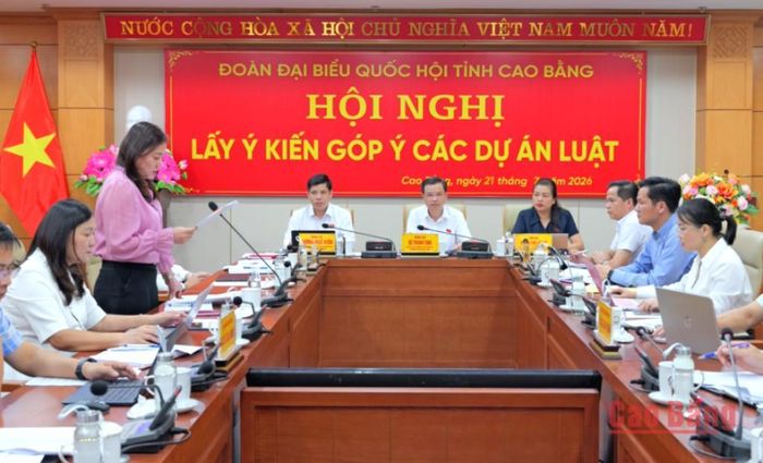Các đại biểu dự hội nghị.