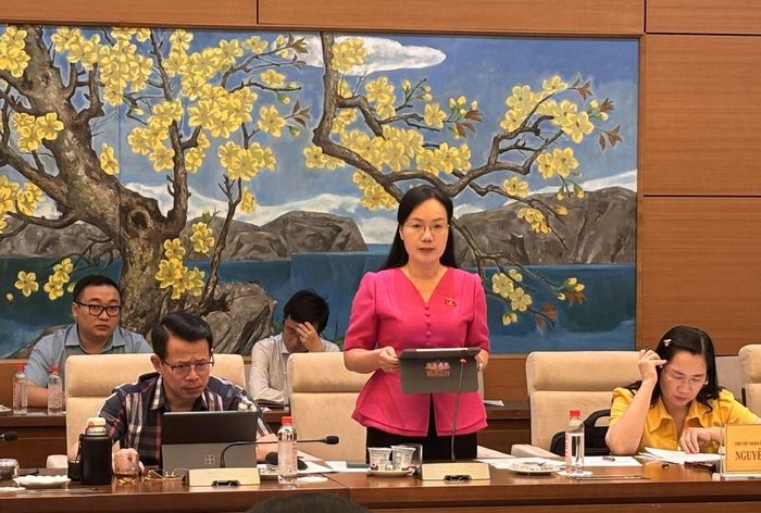 Ủy viên là đại biểu Quốc hội hoạt động chuyên trách tại Ủy ban Pháp luật và Tư pháp của Quốc hội Đỗ Thị Việt Hà trình bày ý kiến của cơ quan thẩm tra tại Phiên họp. Ảnh: Đ. KHOA