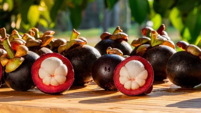 Sau khi ăn, măng cụt để lại lượng vỏ khá nhiều, nếu không được dọn ngay sẽ dễ gây mùi, nhất là trong không gian phòng kín có điều hòa. Ảnh minh họa.