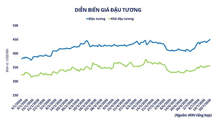 Diễn biến giá đậu tương đến ngày 20-7. Nguồn: MXV